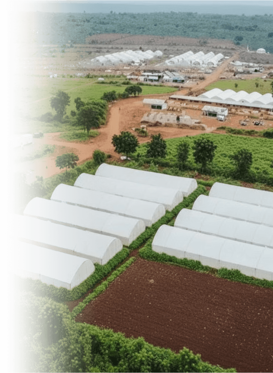 Professional pointing